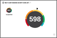 Multi-Client Dashboard - Multi-Client RiskSense Security Score Widget